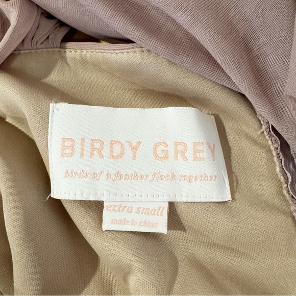 Birdy Grey | Maria Convertible Mesh Maxi Dress in Mauve Sz. XS - Picture 8 of 9